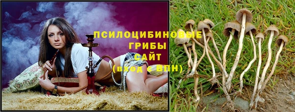 jwh Нефтекумск