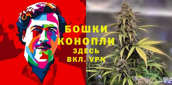 СК Аркадак