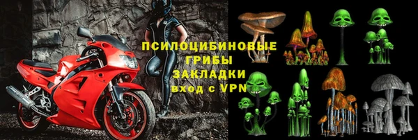 СК Аркадак